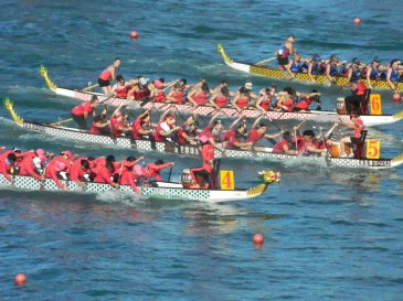 Free for all paddlefest!!!