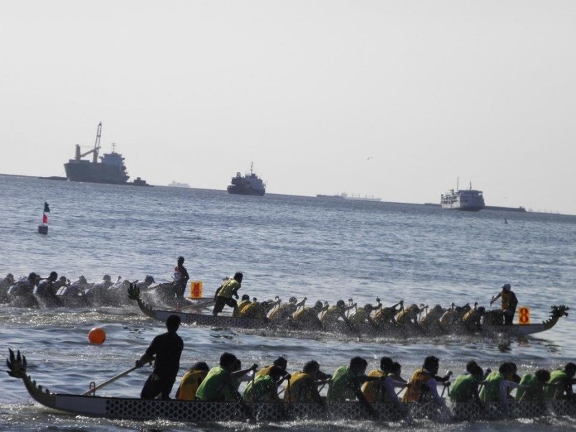 Battle of Champions!!!