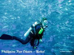Bohol's Funtabulous Dive Sites
